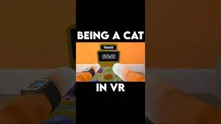 Beat That Score #vr #virtualreality #vrgaming #cat