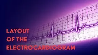 Layout of the Electrocardiogram - How to Read an Electrocardiogram (EKG) - MEDZCOOL