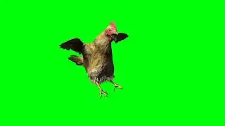 Hen 4