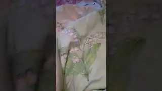 Как я нарядила свою елочку! 🌲🌲🌲🌲