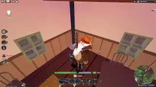 The Wild West