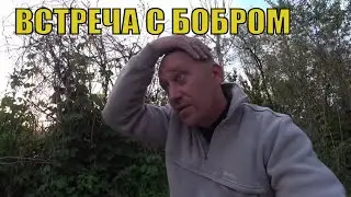 7 days in the backwoods. Without FOOD and WATER. (Part 2. In search of SAZAN.)