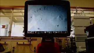 Electron capture, photo-Fenton chemistry