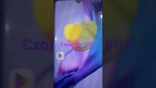 свин-маркет