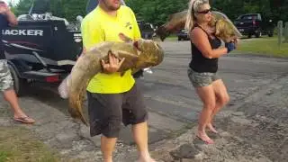 Get Bit Noodling Tournament Champions Releasing Monster Fish