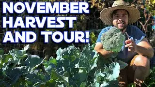 My Garden Is PUMPING Out Harvests In Late November!