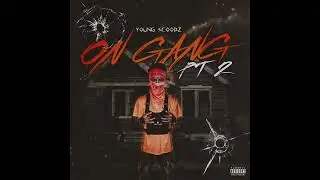 (INTRO)Game Over - Young Scoobz💪🏻😈🔥