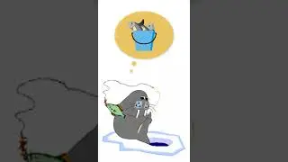 seal dream