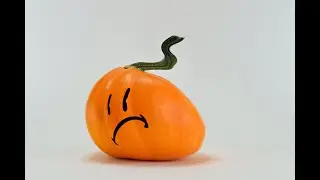 Halloween Kürbis in Procreate verformen