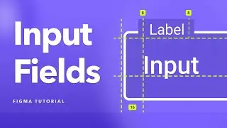 Creating Input Fields with Variants | Input Fields UX Best Practices & Anatomy of Input Field Types