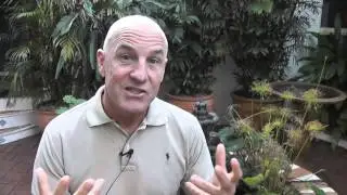 How I survived Cancer - Mark's Cuisine