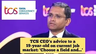 TCS CEO's advice to a 19-year-old on current job market: 'Choose a field and...'