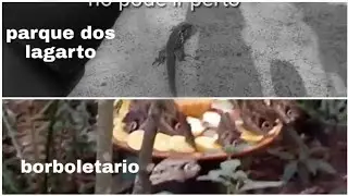 Vlog no borboletario e parque das aves