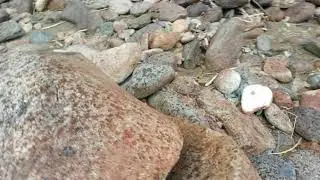 Камень сундук. Алтай.
