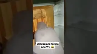 Video Lucu Bikin Ngakak #shorts #videolucuterbaru