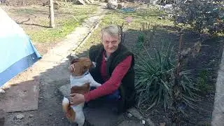 Начав викорчовувать пеньок, Рекс і його банда , мені допомогали.