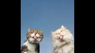 Юмор, не судите строго  - это всего лишь шутки