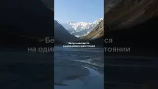 30 апреля 2024 г.