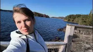 Етапи адаптації мігранта ( з власного досвіду)