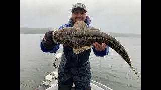 BIG FLATTYS ON RATTLETAILS