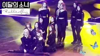 [190817 KCON LA] 이달의 소녀 / LOONA - Intro + Butterfly (Group Focus)