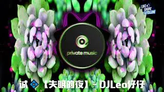 失眠的夜 - (DJLeo仔仔 Remix)