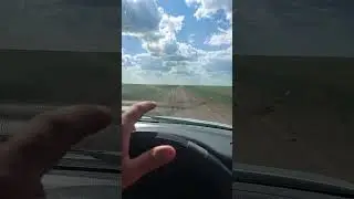 В поисках Карпа!