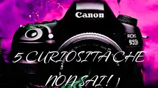 5 CURIOSITÀ CHE NON SAI!