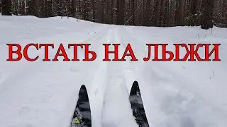 Встать на лыжи под Киевом! Завтрак в лесу.  Зима 2021. Лыжи Киев.