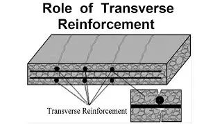 Role of Transverse Reinforcement