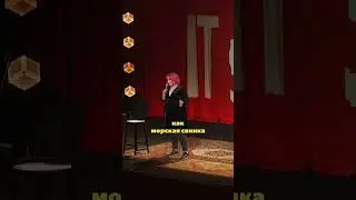 Стендап про женщин-программистов #standup #стендап #yandex #юмор
