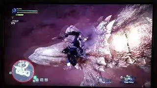 Diablos hunt August 2019