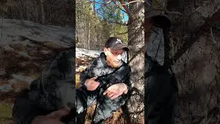 Страшная история...