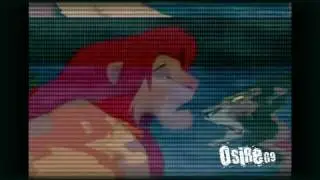 Lion king - Phenomenon