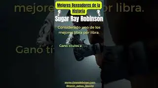 Los 20 mejores boxeadores que han dejado una marca en el Boxeo