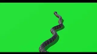 Snake 41 || Green Screen Videos