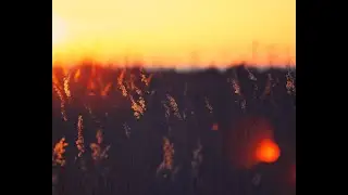 воздухи