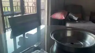 the dancing camera!