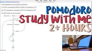Pomodoro Study With Me - 2+ Hours, No Music