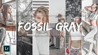 Lightroom mobile presets FREE DNG | lightroom tutorial new 2020 | Fossil Ash Gray