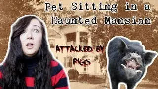 I PET SAT PIGS IN A HAUNTED MANSION | Worst Pet Sitting Experience Storytime