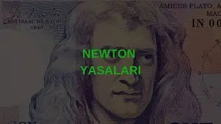 NEWTON YASALARI
