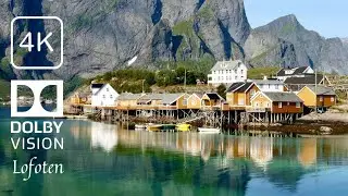 Snowfall in The Lofoten Islands, Norway, Nature Sounds for Sleep, Hamnøy and Reine  4K