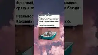 #memes