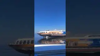 Петергоф Санкт Петербург #питер #санктпетербург #travel #tiktok #топ #shortsclip