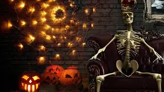 😍 Halloween Led Spider Web String Light 5v Remote Control