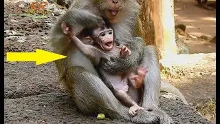 WOW! Newborn baby Barbi push hand mom out Cry loudly cos angry mom not allow to walk.