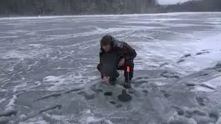 щука на жерлицу