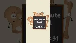 Recall Card 31 | Osteology | Anatomy