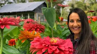 How Floret INSPIRED Me To Go FULL TIME With My Flower Farm!